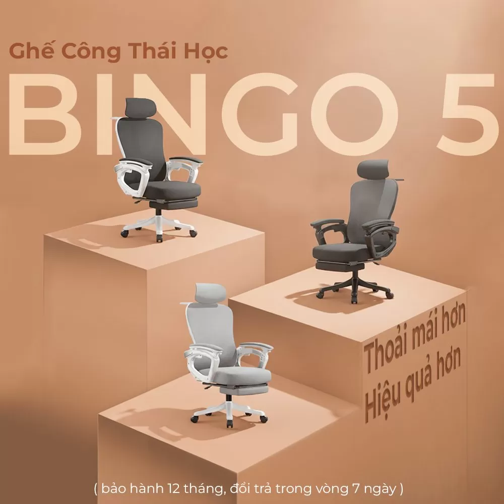 ghế công thái học
