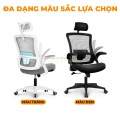 ghế công thái học chất lượng 