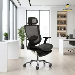 Ghế Công Thái Học 