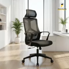 Ghế Công Thái Học 