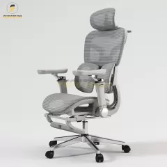 Ghế Công Thái Học Fufutech FEC06 