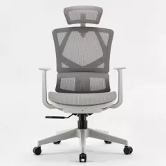 Ghế Công Thái Học Sihoo M91C
