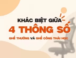 Ghế công thái học và ghế thường khác nhau gì? Xem thông số