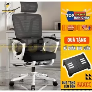 Ghế Công Thái Học Fufutech Even Pro
