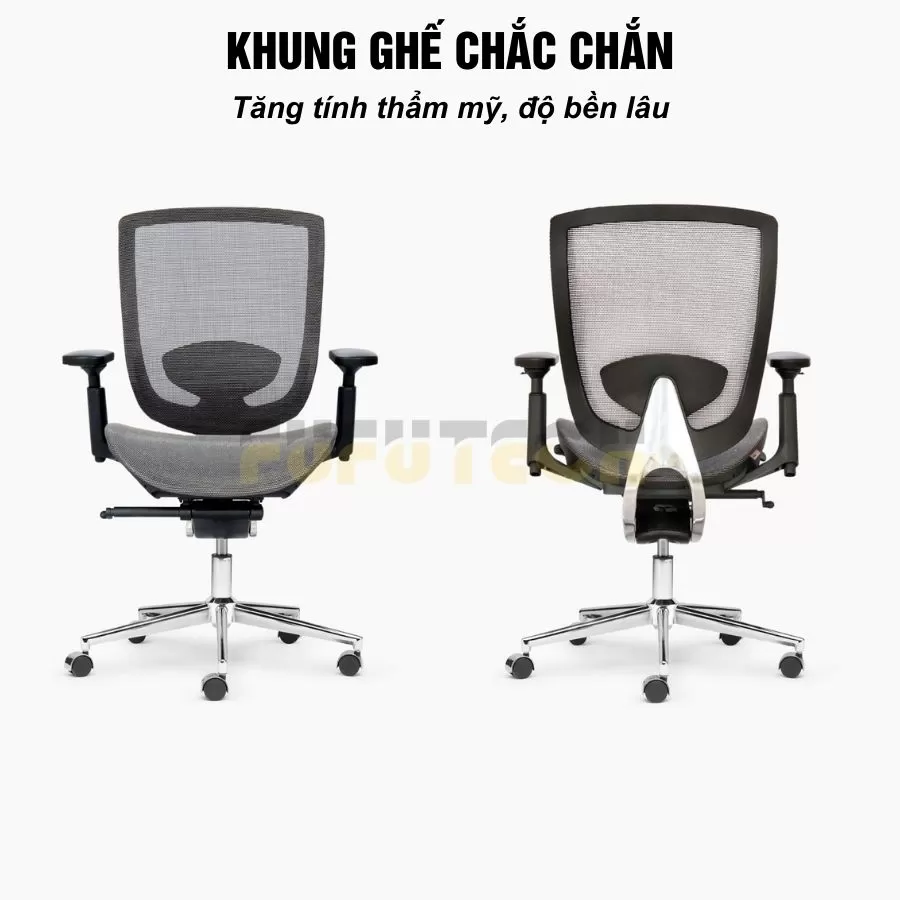 ghế công thái học