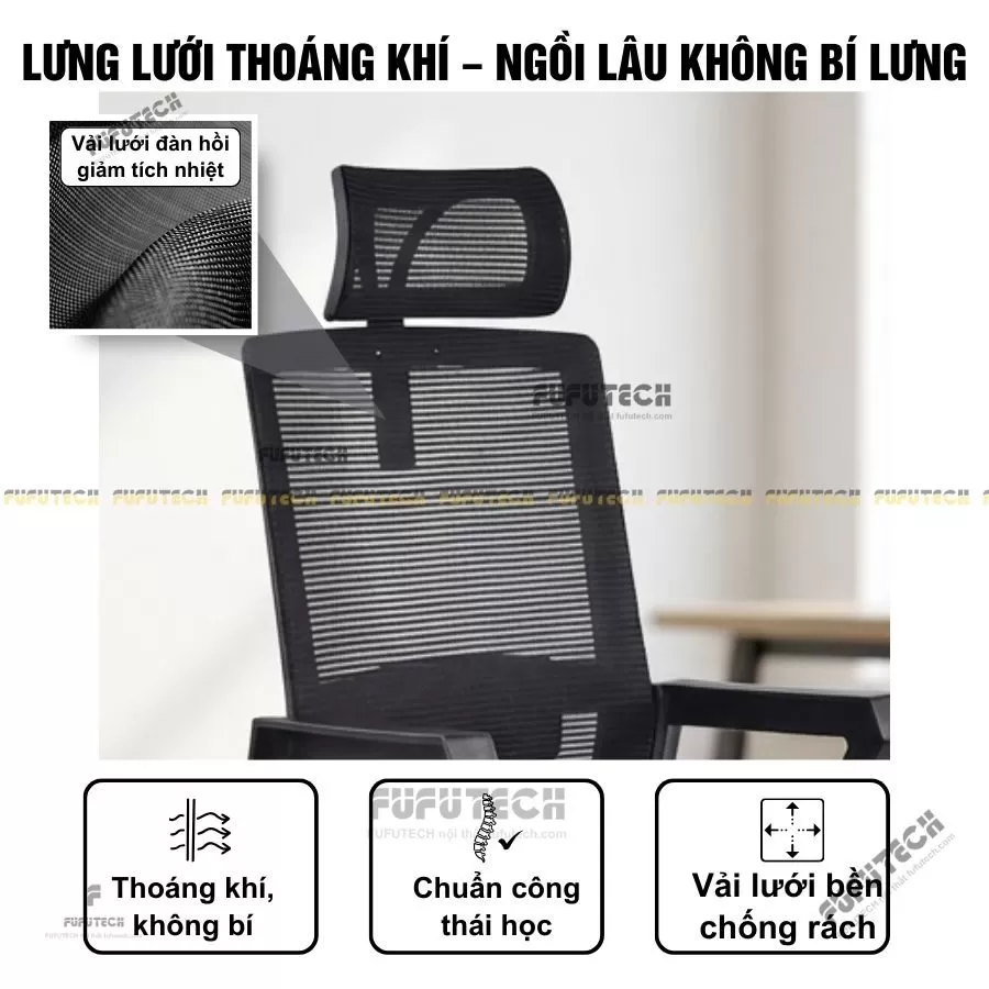 ghế công thái học
