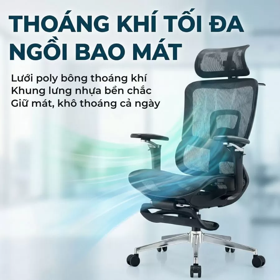  ghế công thái học