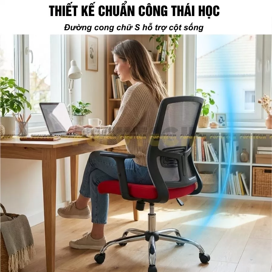 ghế công thái học