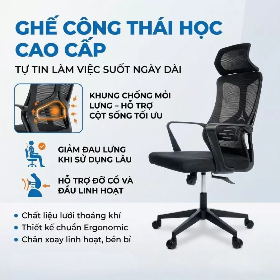 ghế công thái học cao cấp