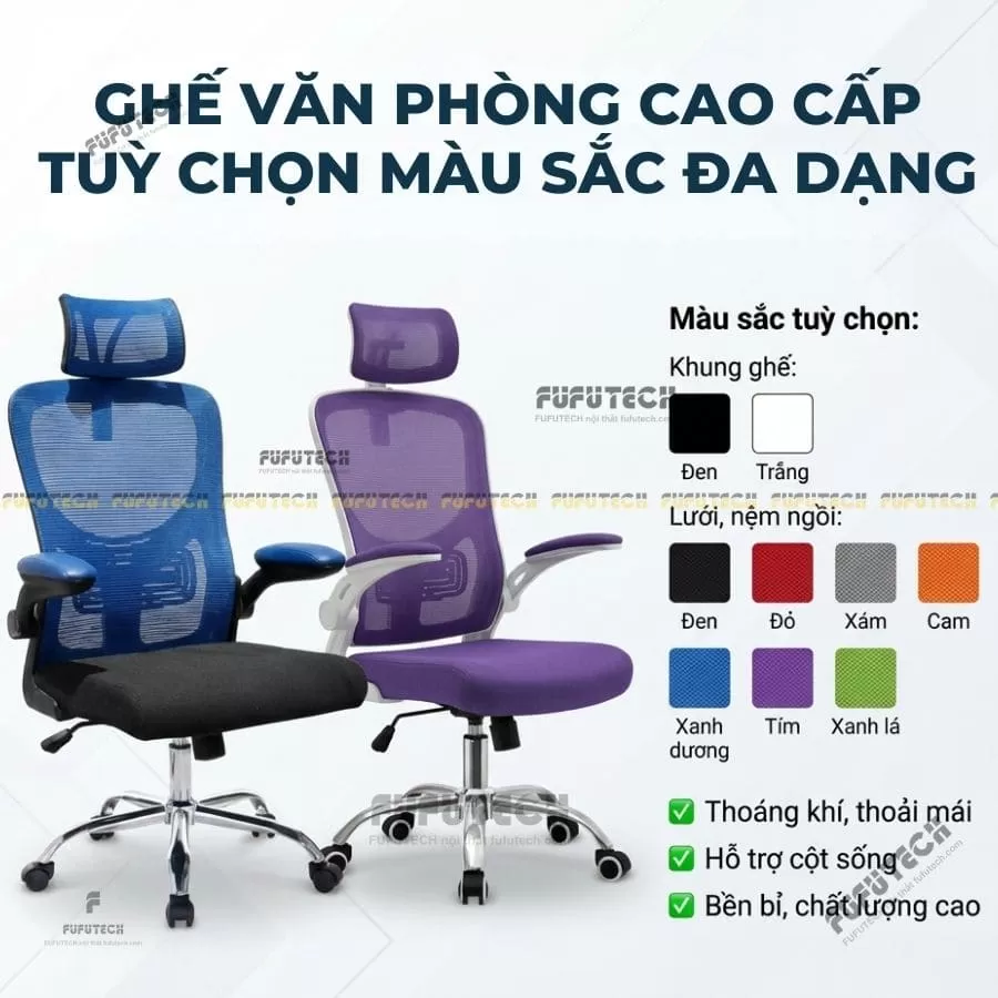 ghế công thái học