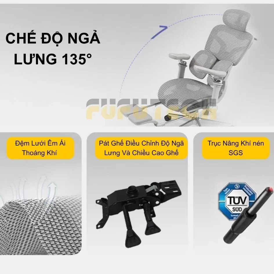 ghế công thái học