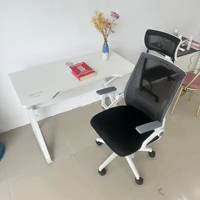 Ghế công thái học H-Olex 2 - ảnh thực tế từ khách hàng 5