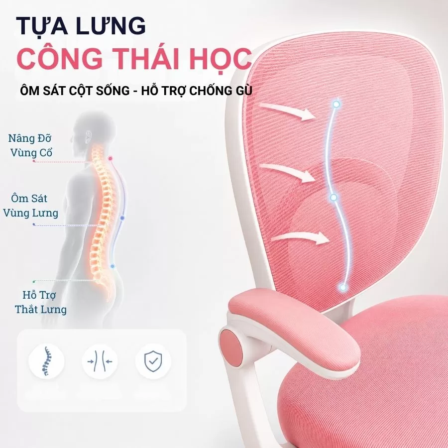 ghế học sinh chống gù