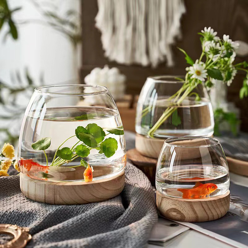 Bể cá mini mang lại nhiều năng lượng tích cực